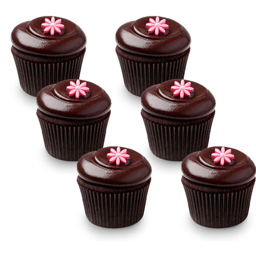 Ultimate Flourless Chocolate Cupcakes 500
